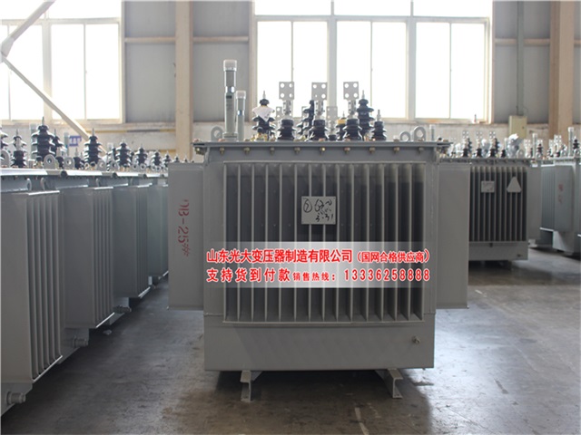 南京S22-4000KVA油浸式变压器